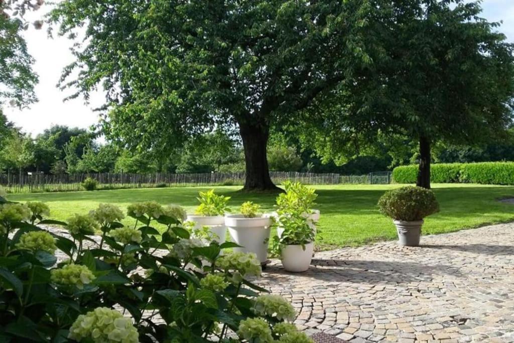 Country House Clos Des Hortensias Blegny Exterior foto